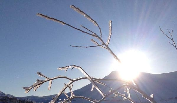 Greine rmed snø på, sol og fjell i bakgrunnen